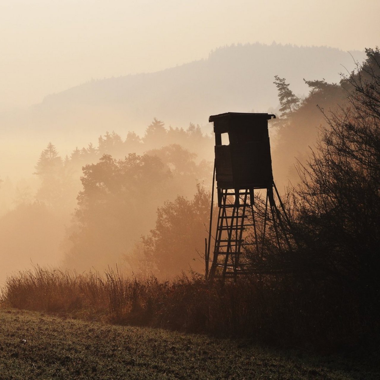 Autumn sunrise atmosphere with hunting high stand in Czech Republic